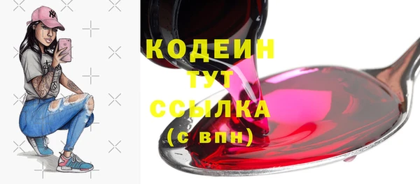трава Ельня