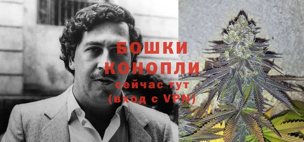 трава Ельня