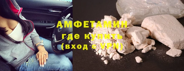 трава Ельня