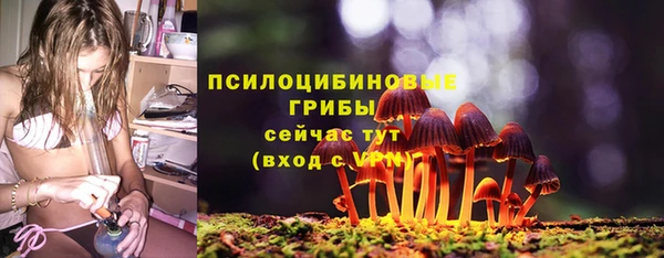 2c-b Елабуга
