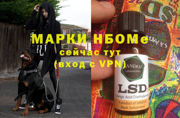 трава Ельня