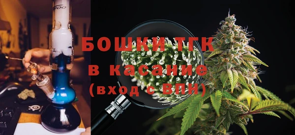 трава Ельня