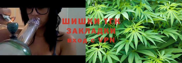 трава Ельня